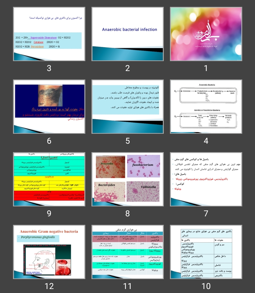 پاورپوینت anaerobic bacteria