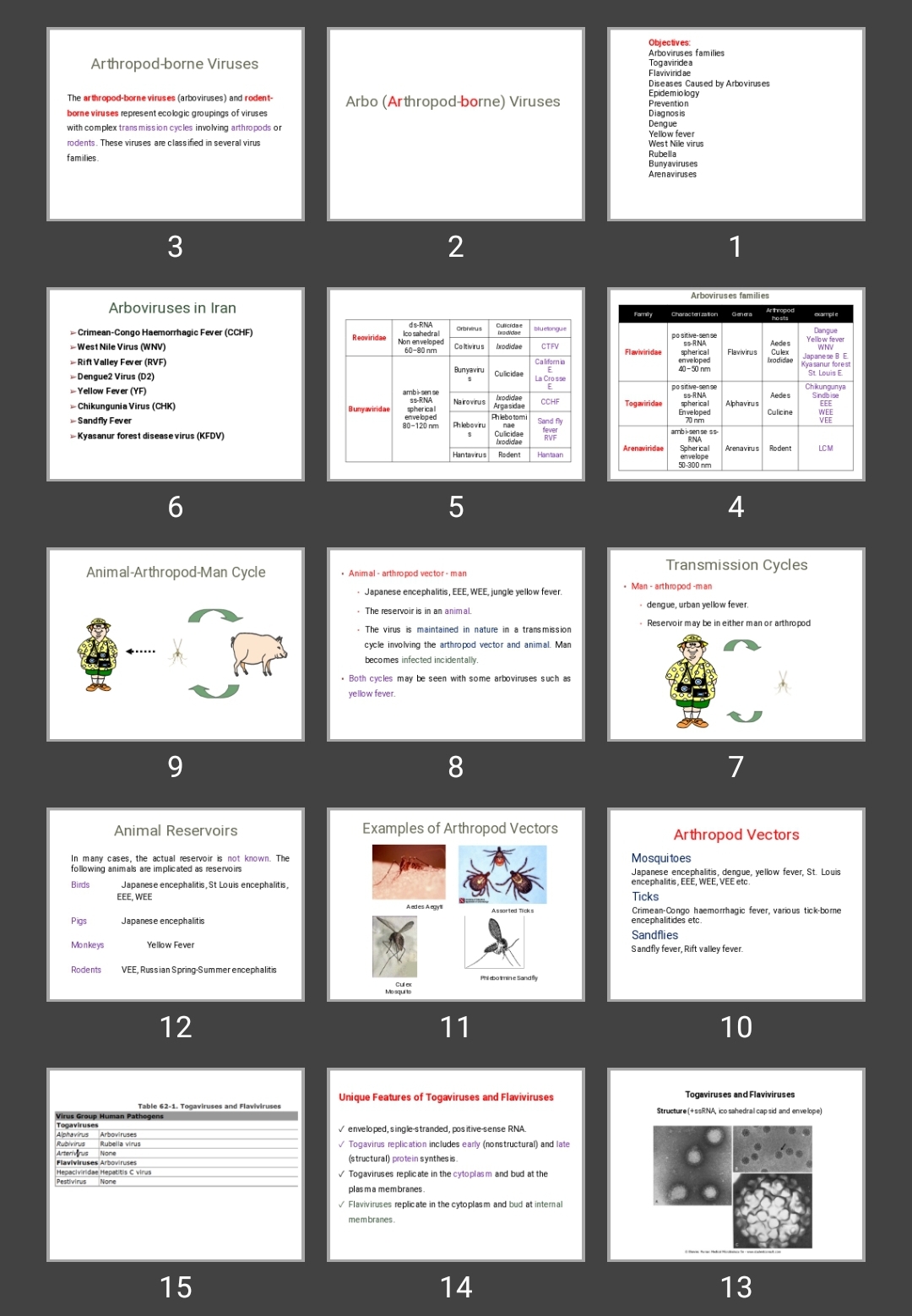 پاورپوینت Arbo (Arthropod-borne) Viruses