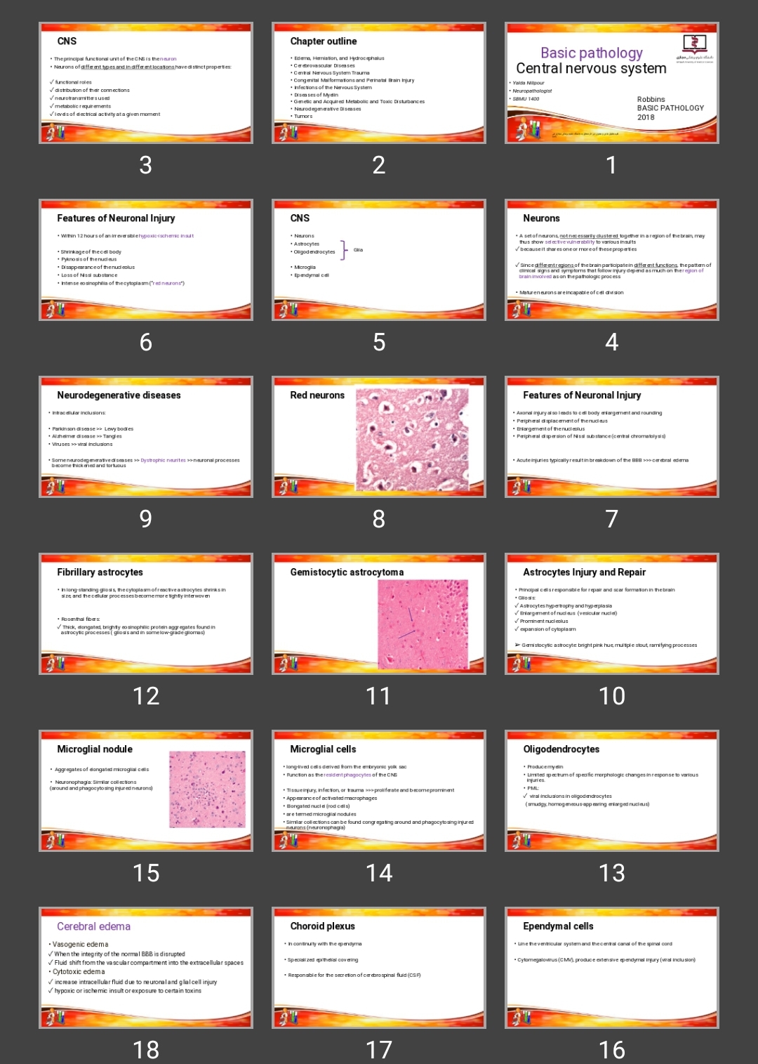 پاورپوینت Basic pathology Central nervous system