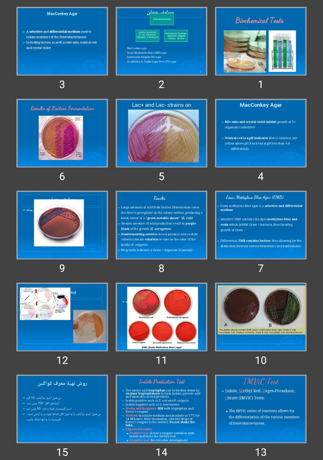 پاورپوینت Biochemical Tests