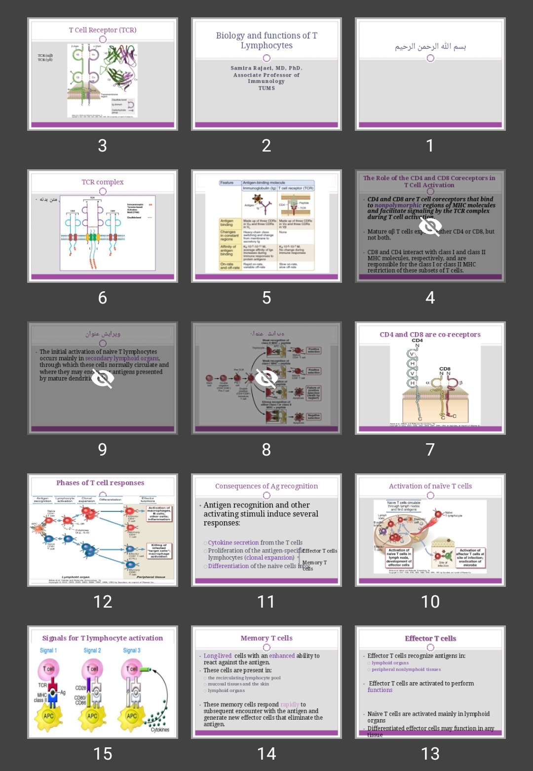 پاورپوینت Biology and functions of T Lymphocytes