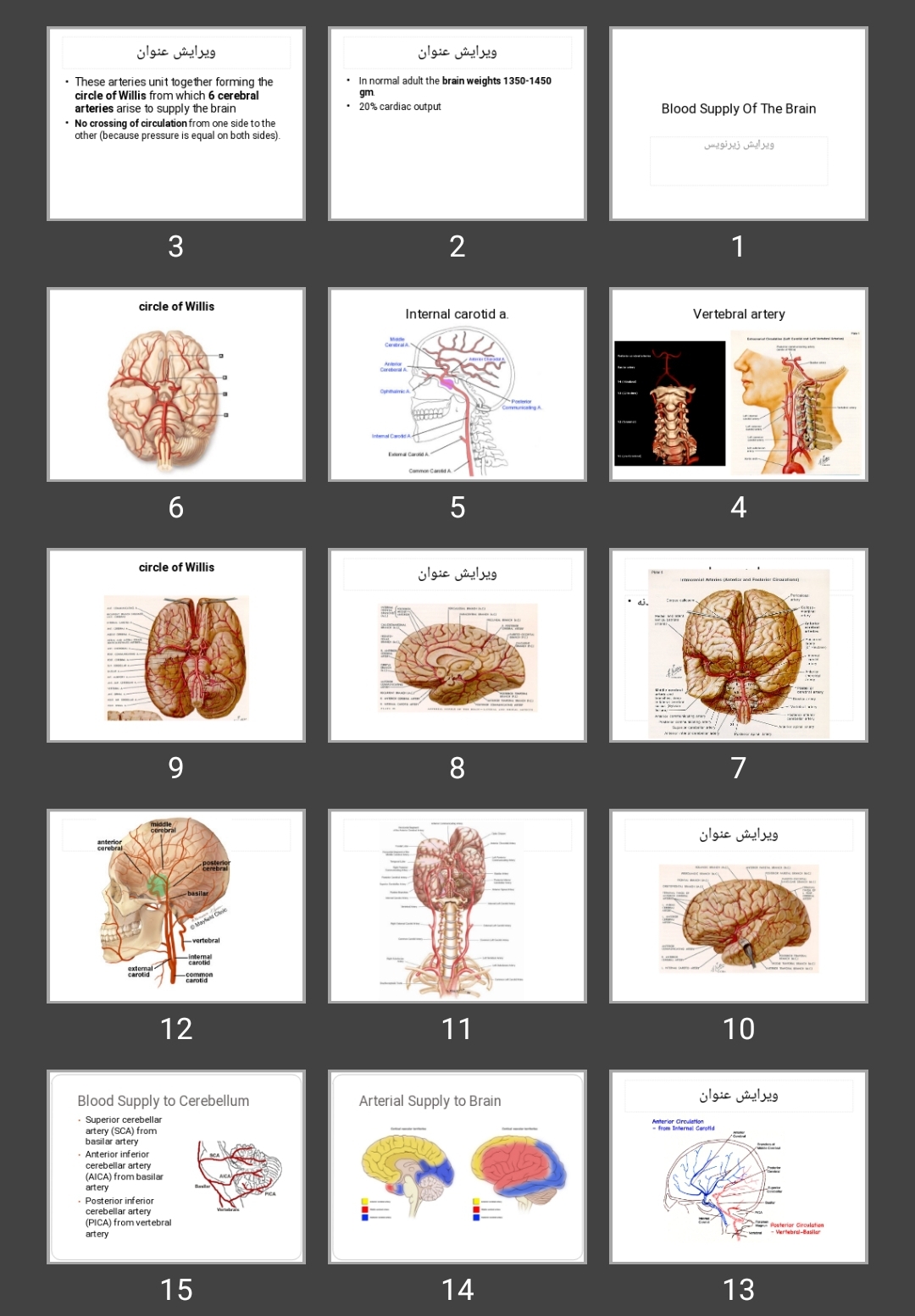 پاورپوینت Blood Supply Of The Brain