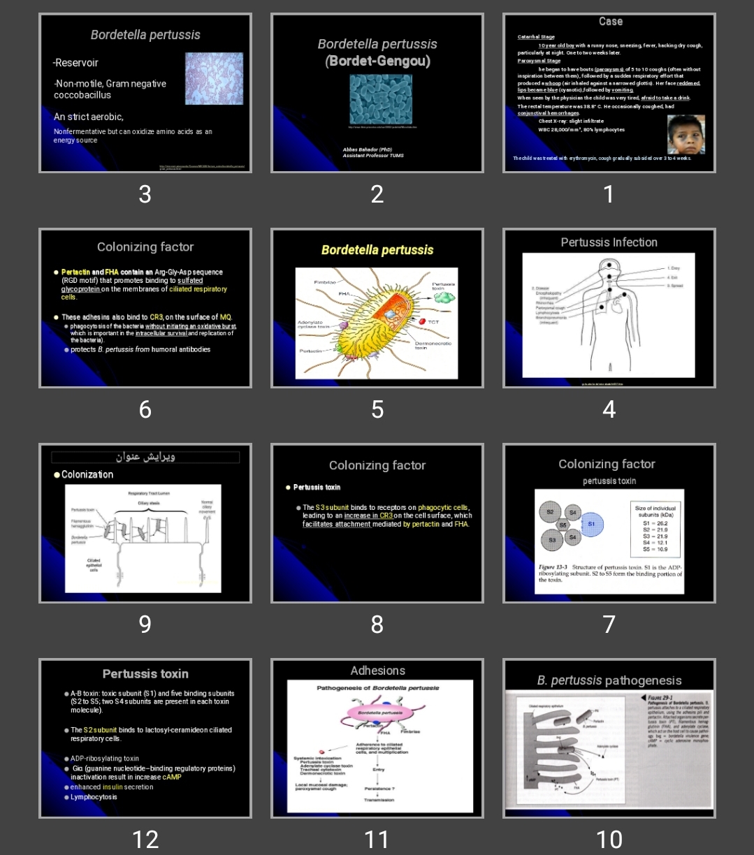 پاورپوینت Bordetella