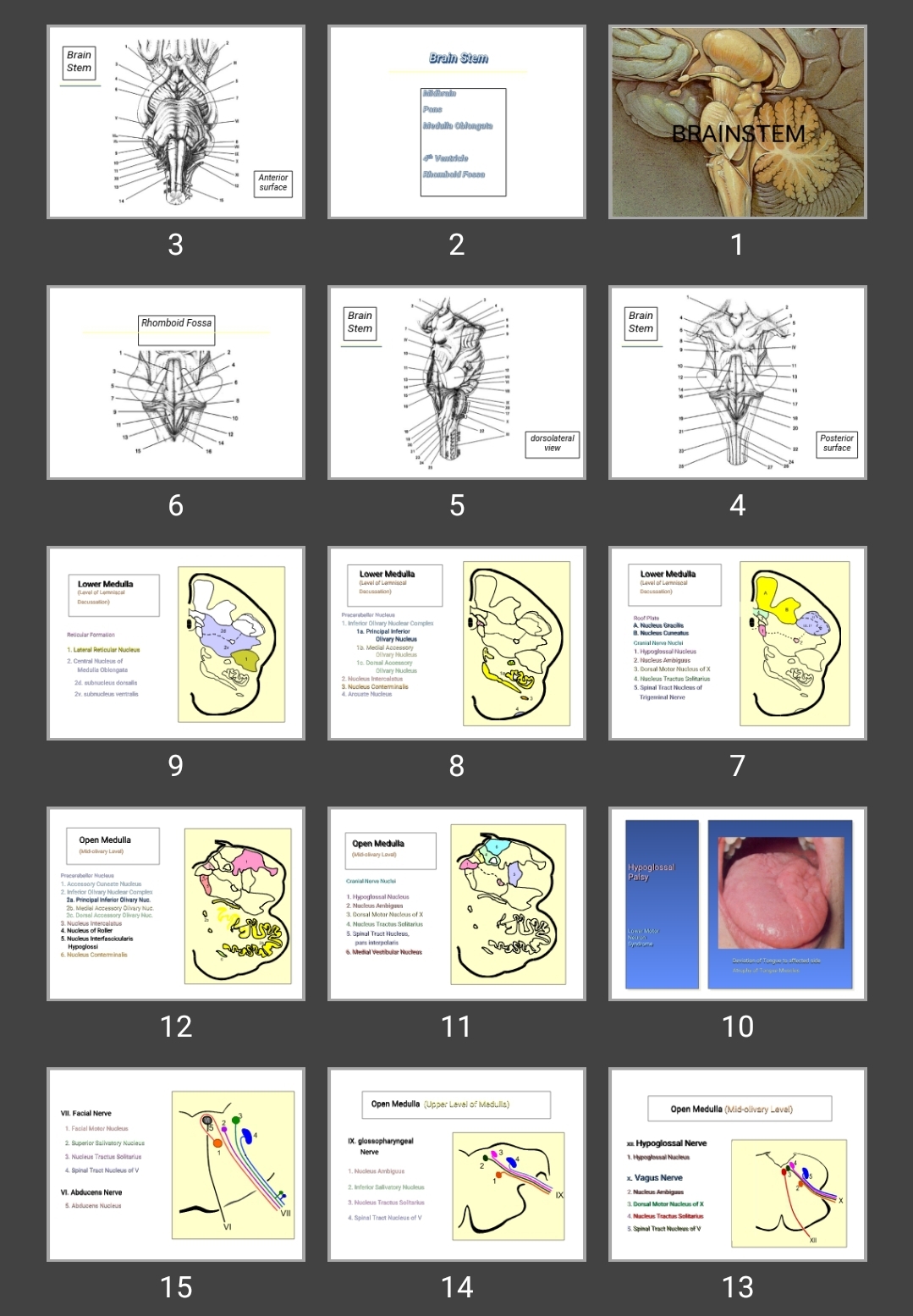 پاورپوینت BRAINSTEM