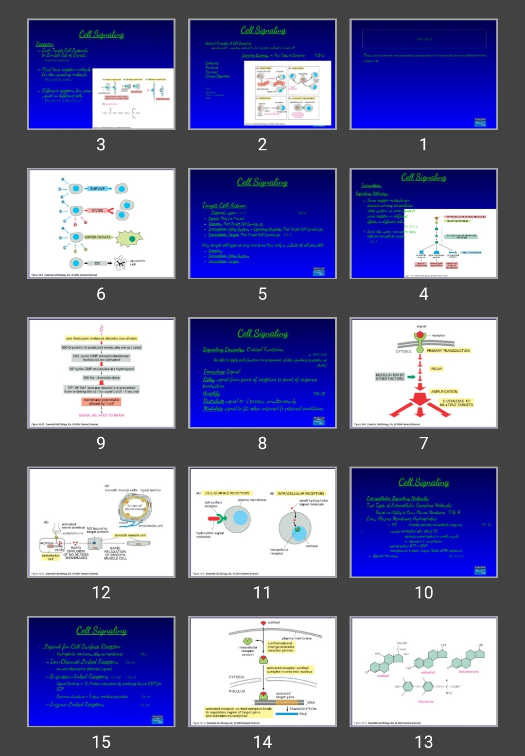 پاورپوینت Cell Signaling