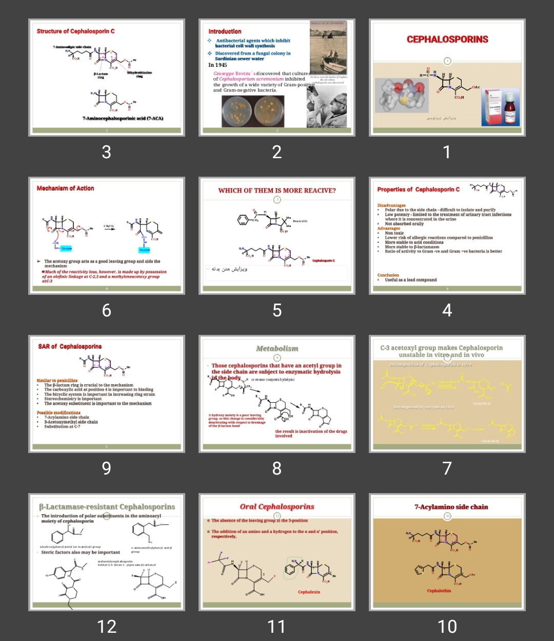 پاورپوینت CEPHALOSPORINS