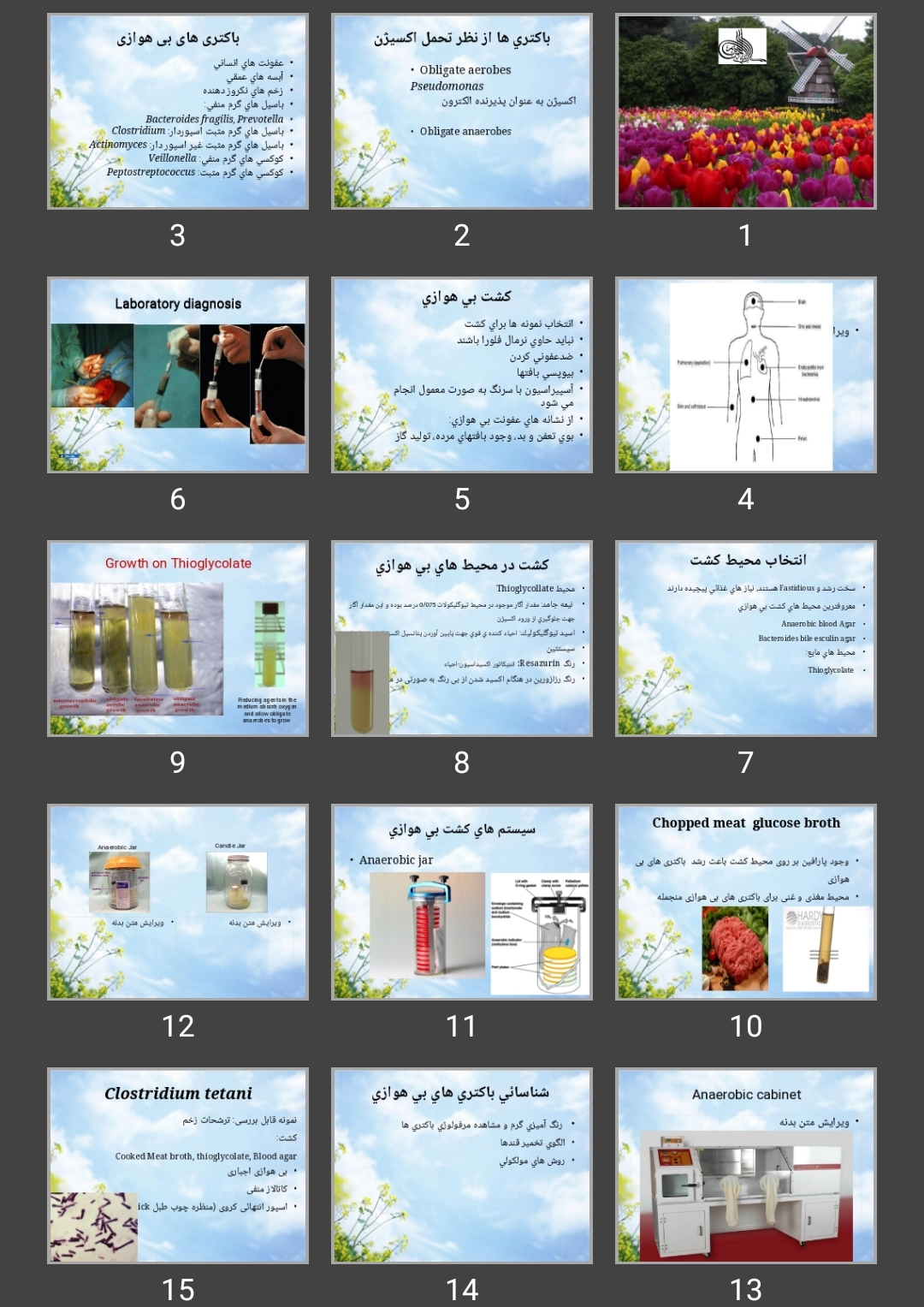 پاورپوینت Clostridium lab