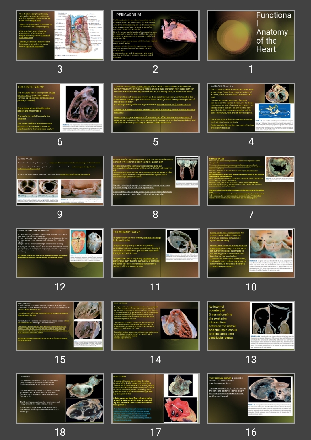 پاورپوینت آناتومی و فیزیولوژی قلب Functional Anatomy of the Heart