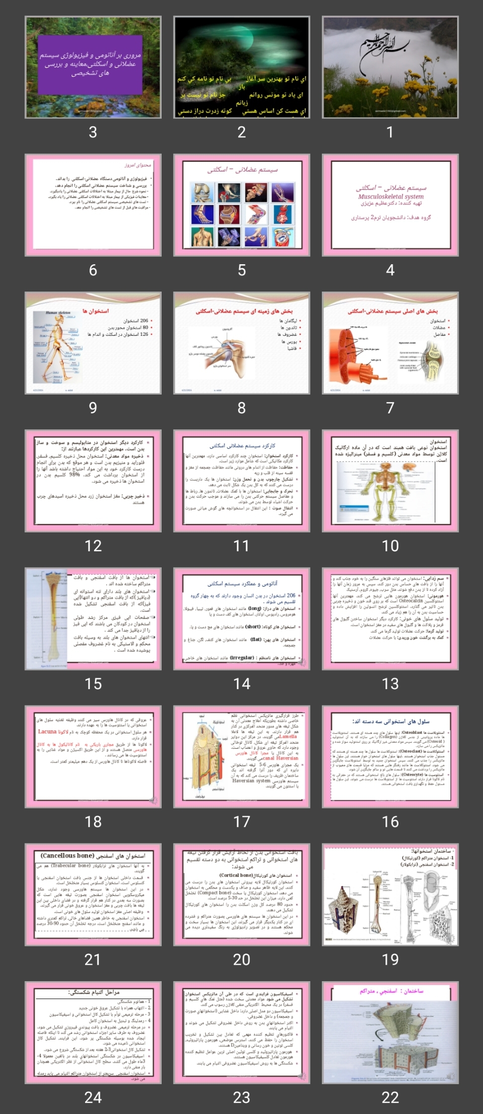 پاورپوینت آناتومی و فیزیولوژی ارتوپدی