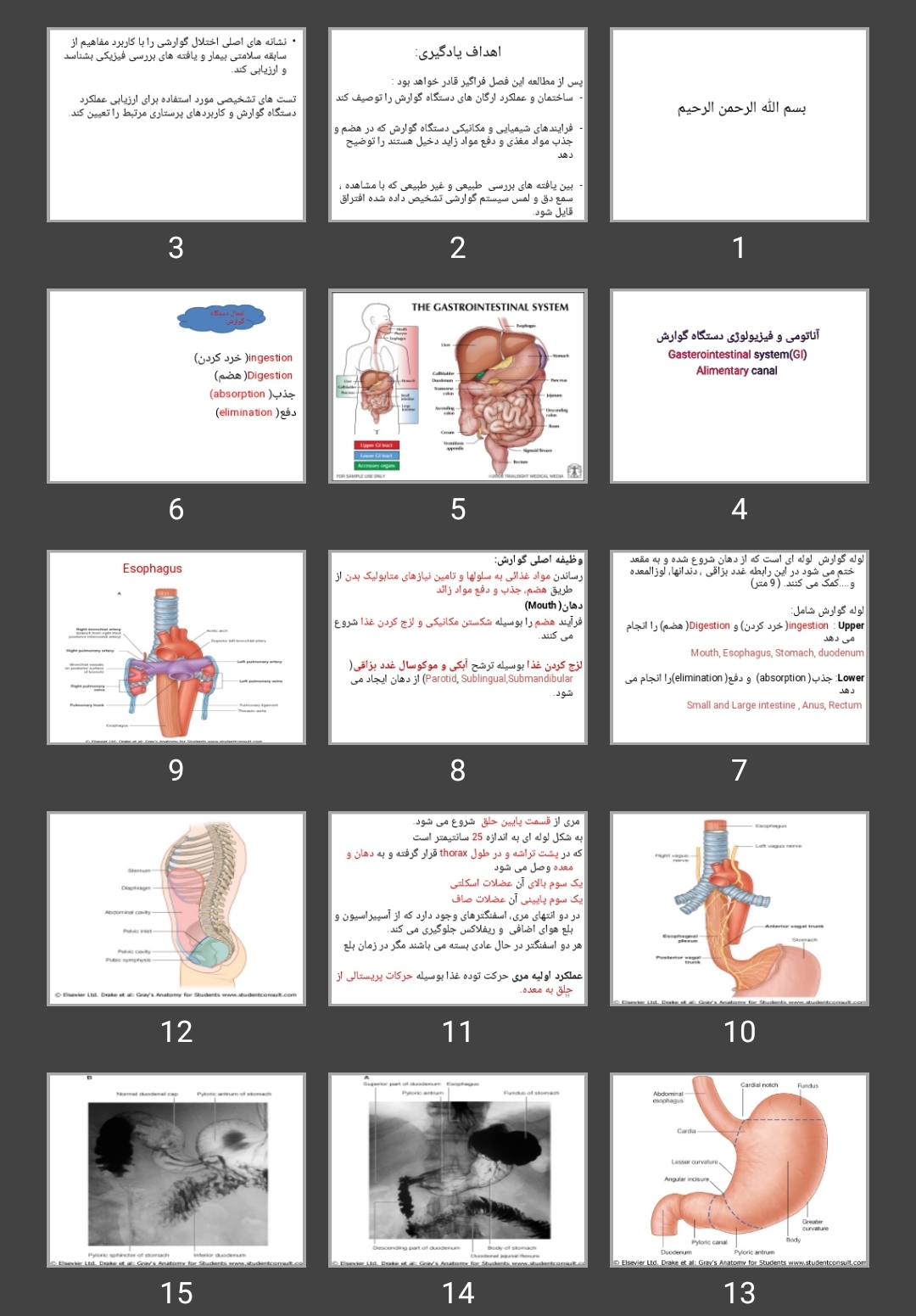 پاورپوینت آناتومی و فیزیولوژی دستگاه گوارش