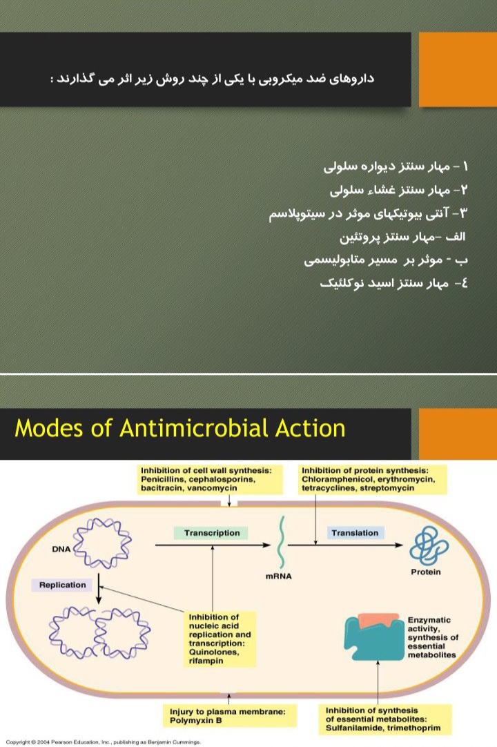 پاورپوینت آنتی بیوتیک ها - ۶۷ صفحه