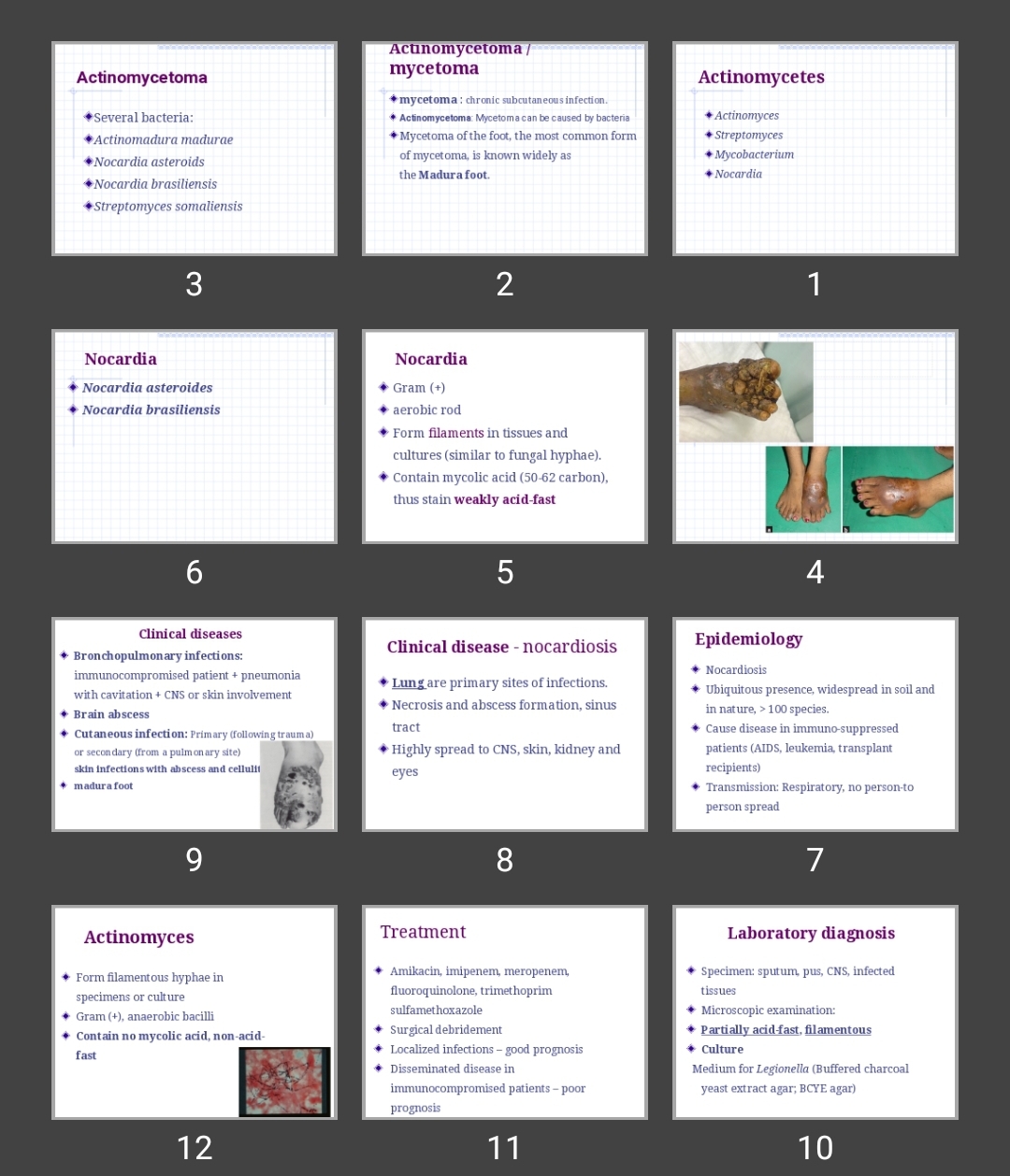 پاورپوینت اکتینومایست، نوکاردیا Actinomyces ، Nocardia