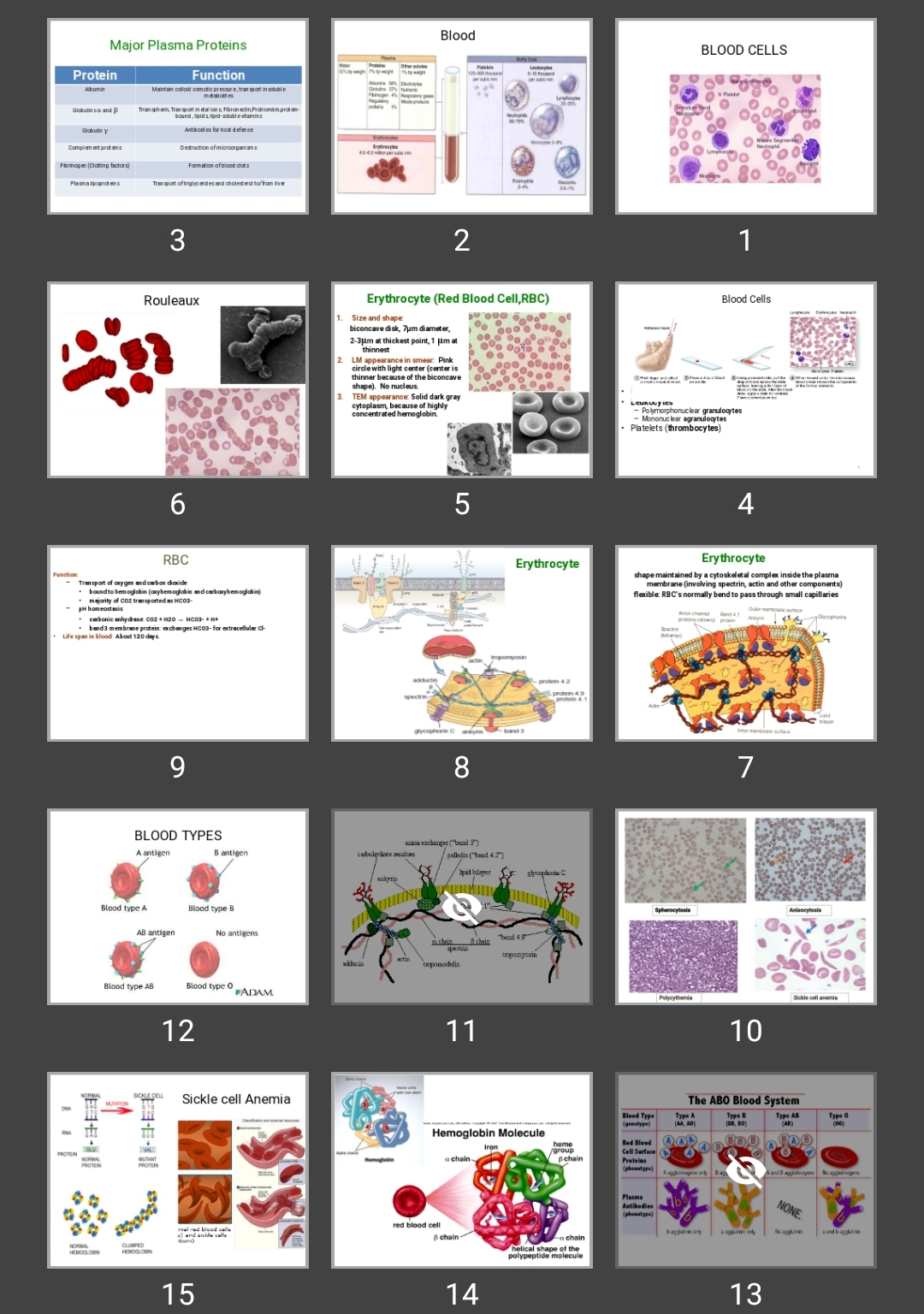 پاورپوینت بافت شناسی سلول های خونی (BLOOD CELLS)