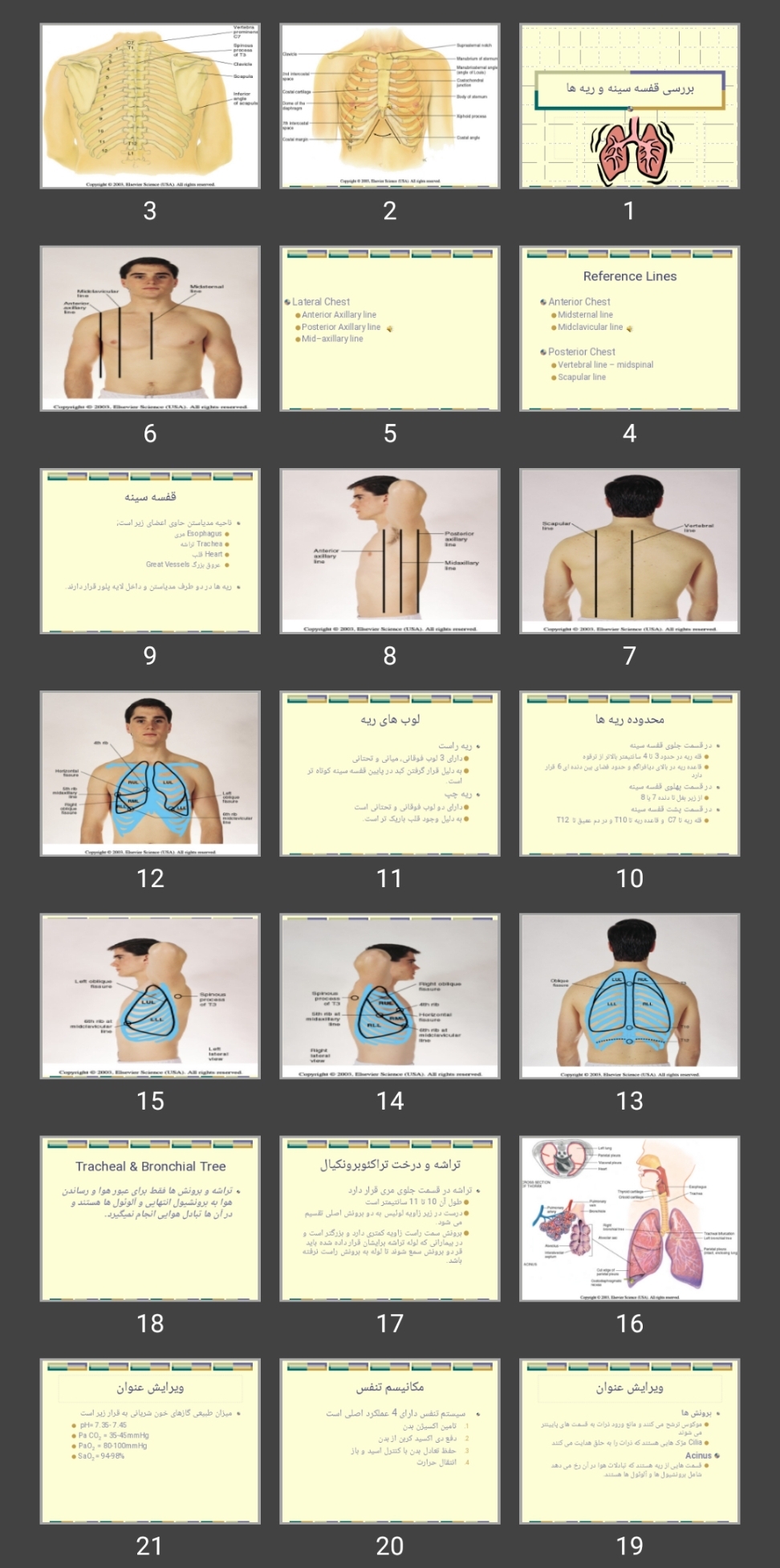 پاورپوینت بررسی قفسه سینه و ریه ها