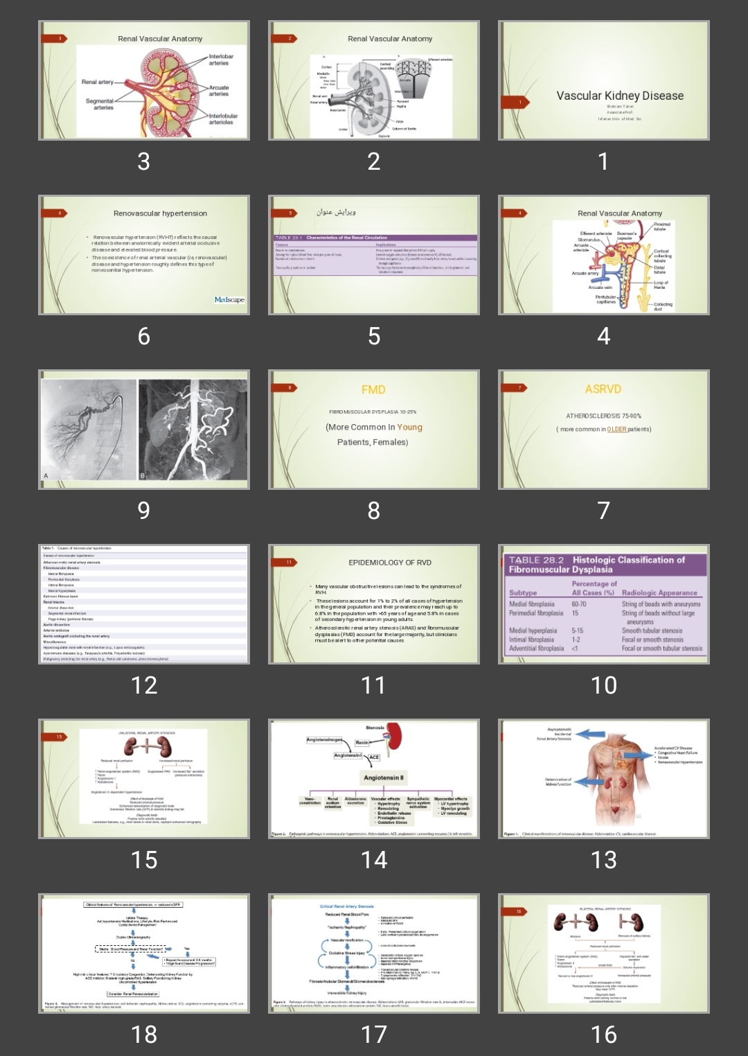 پاورپوینت بیماری عروق کلیه Vascular Kidney Disease