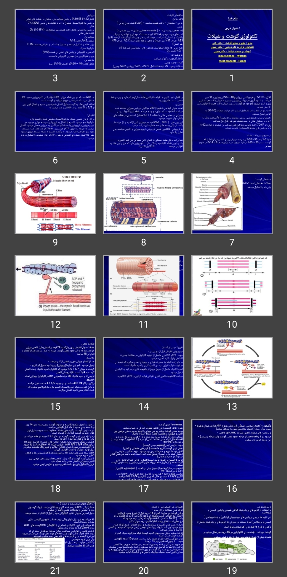 پاورپوینت تکنولوژی گوشت و شیلات