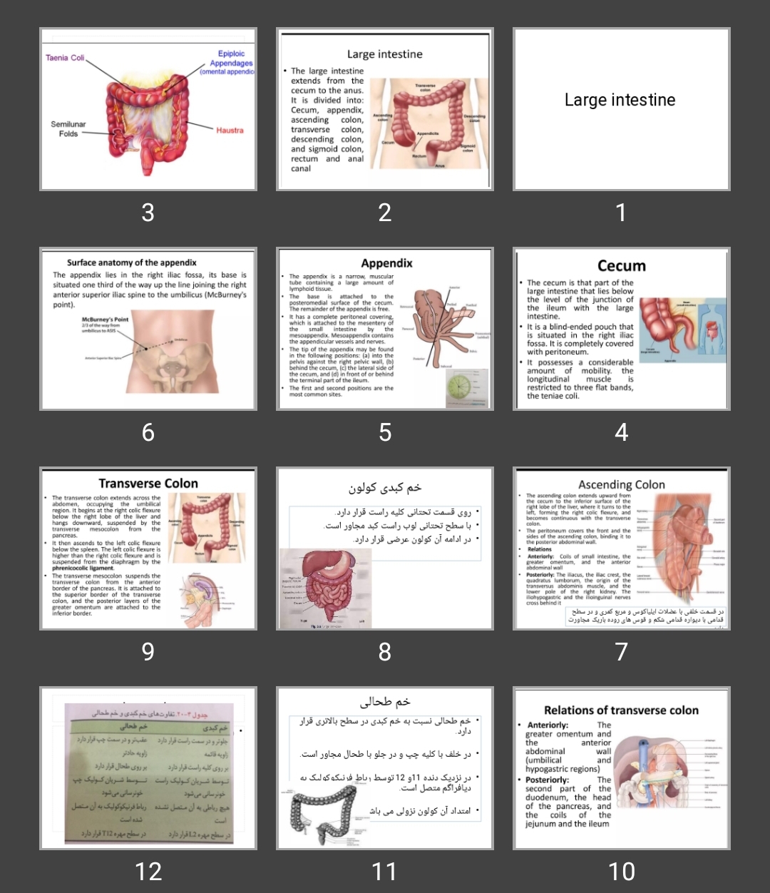 پاورپوینت روده بزرگ Large intestine