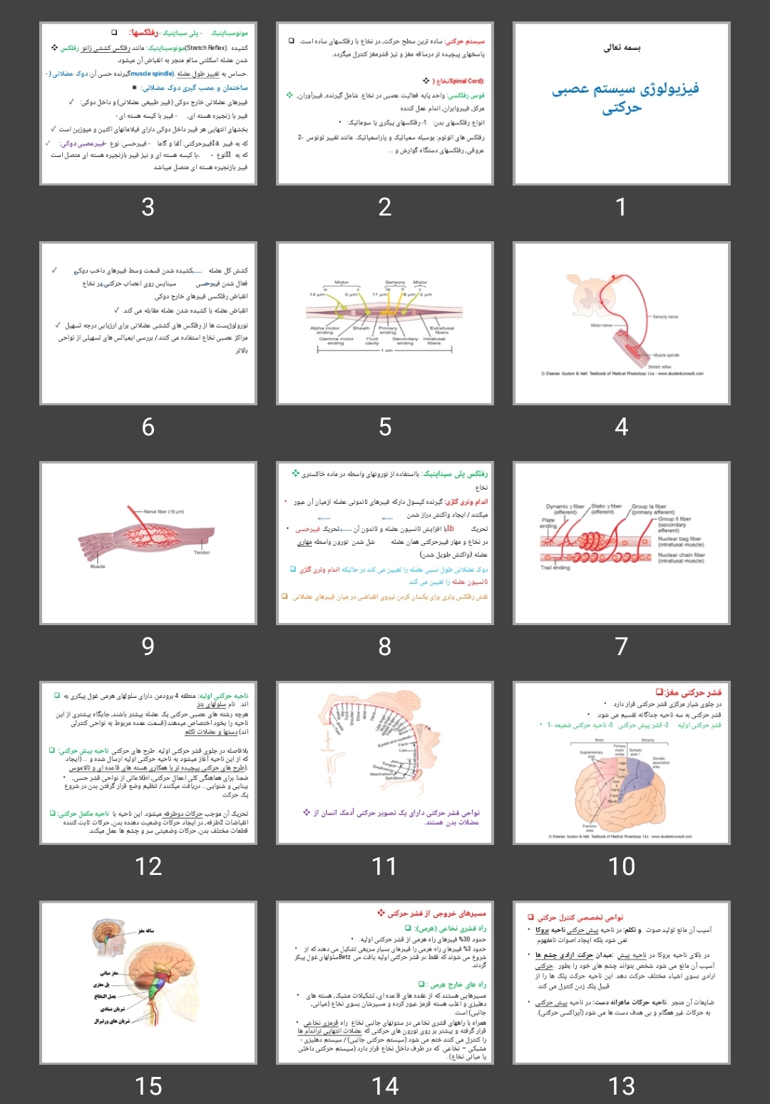 پاورپوینت فیزیولوژی سیستم عصبی حرکتی