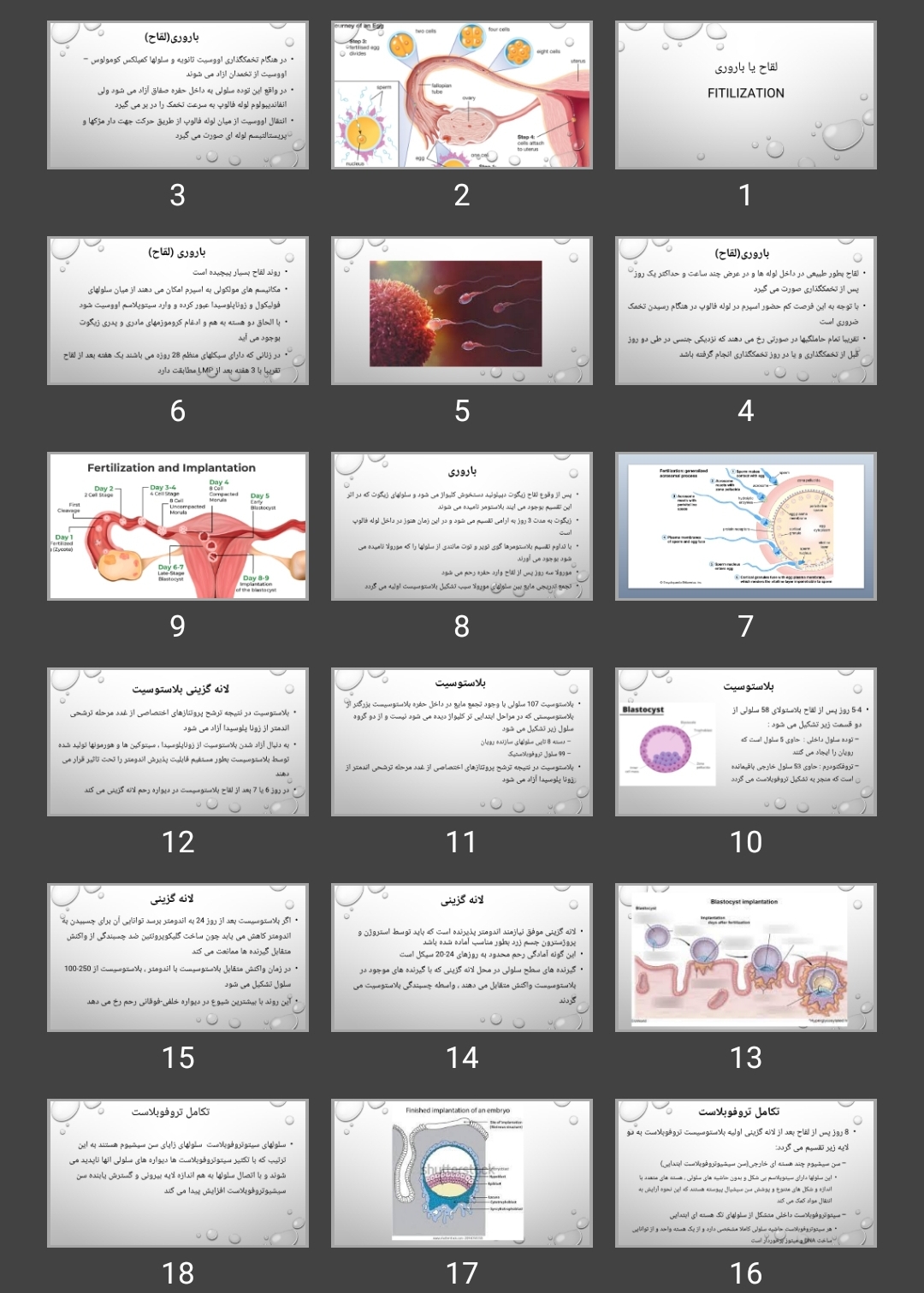 پاورپوینت لقاح یا باروری Fitilization