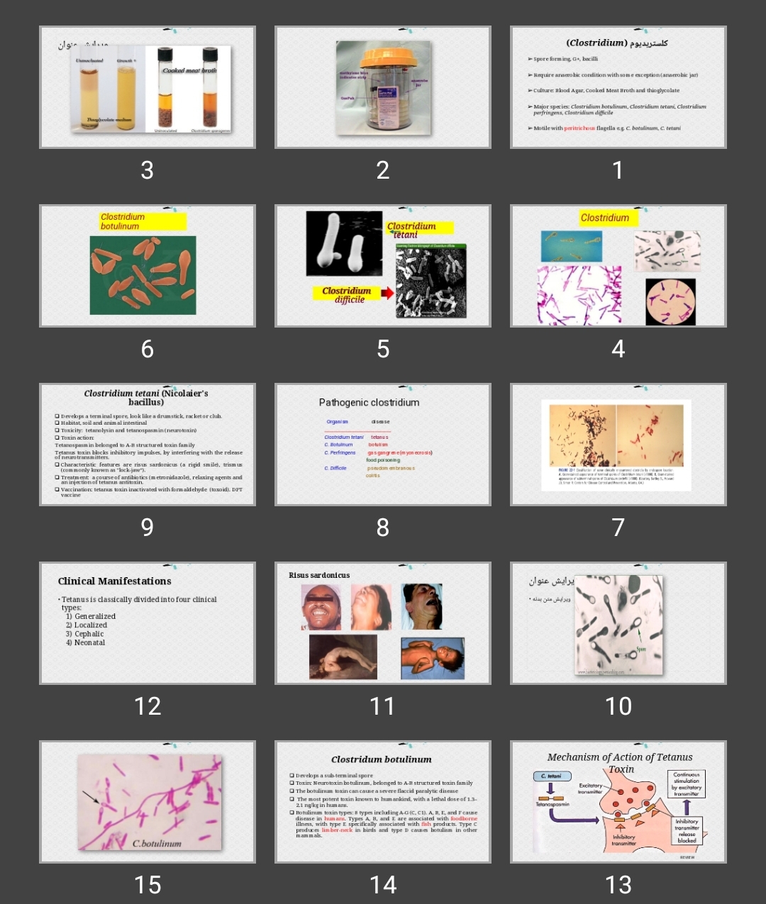 پاورپوینت کلستریدیوم (Clostridium)