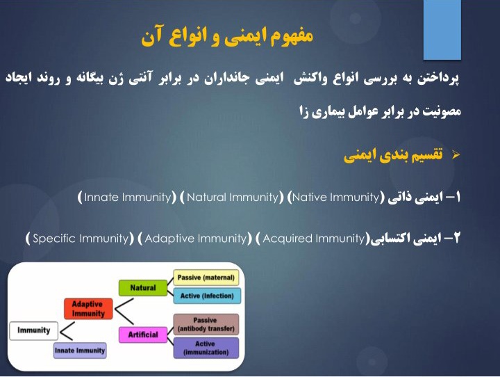 پاورپوینت کلیات ایمونولوژی - ۲۴ صفحه