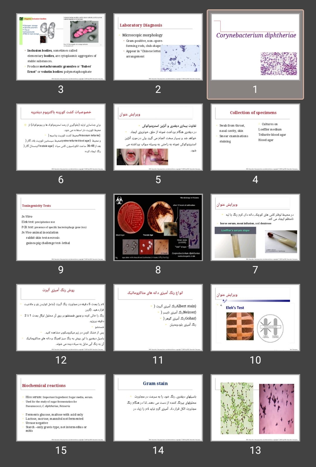 پاورپوینت کورینه باکتریوم Laboratory Corynebacterium