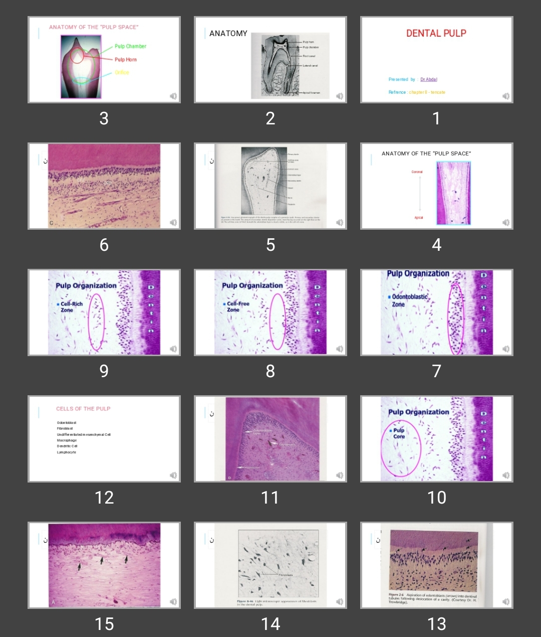 پاورپوینت DENTAL PULP