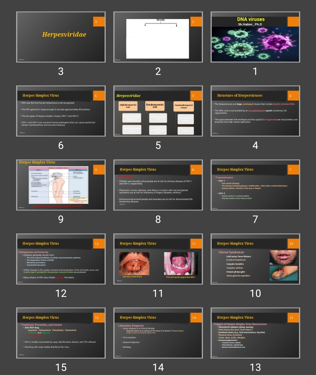 پاورپوینت DNA viruses