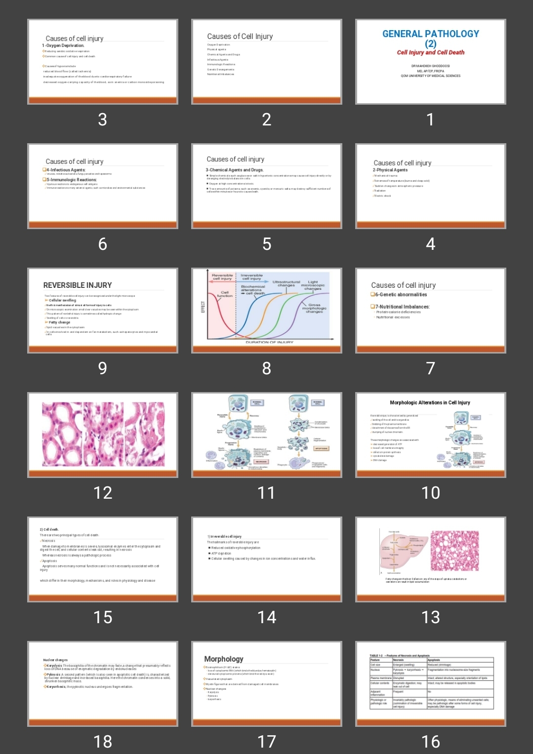 پاورپوینت GENERAL PATHOLOGY (2) Cell Injury and Cell Death