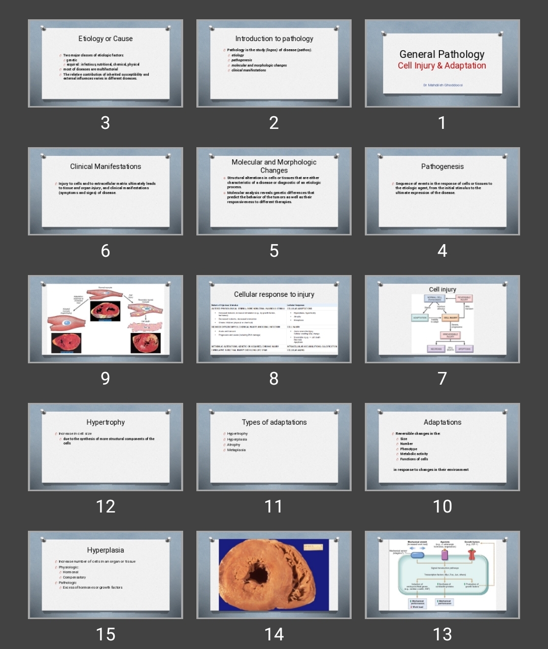 پاورپوینت General Pathology Cell Injury & Adaptation