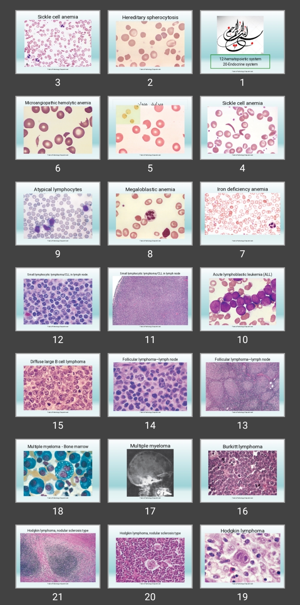 پاورپوینت hematopoietic & Endocrine