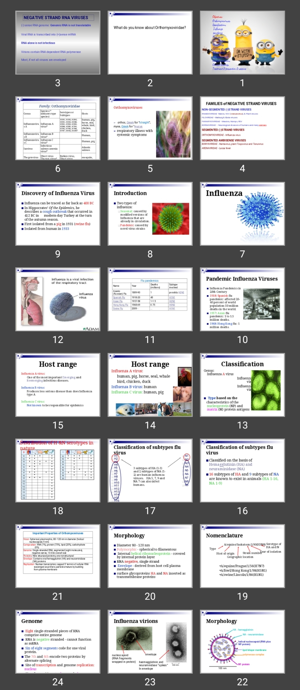 پاورپوینت Influenza Viruses