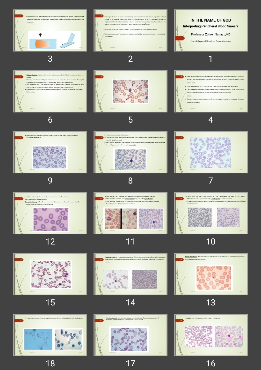 پاورپوینت Interpreting Peripheral Blood Smears