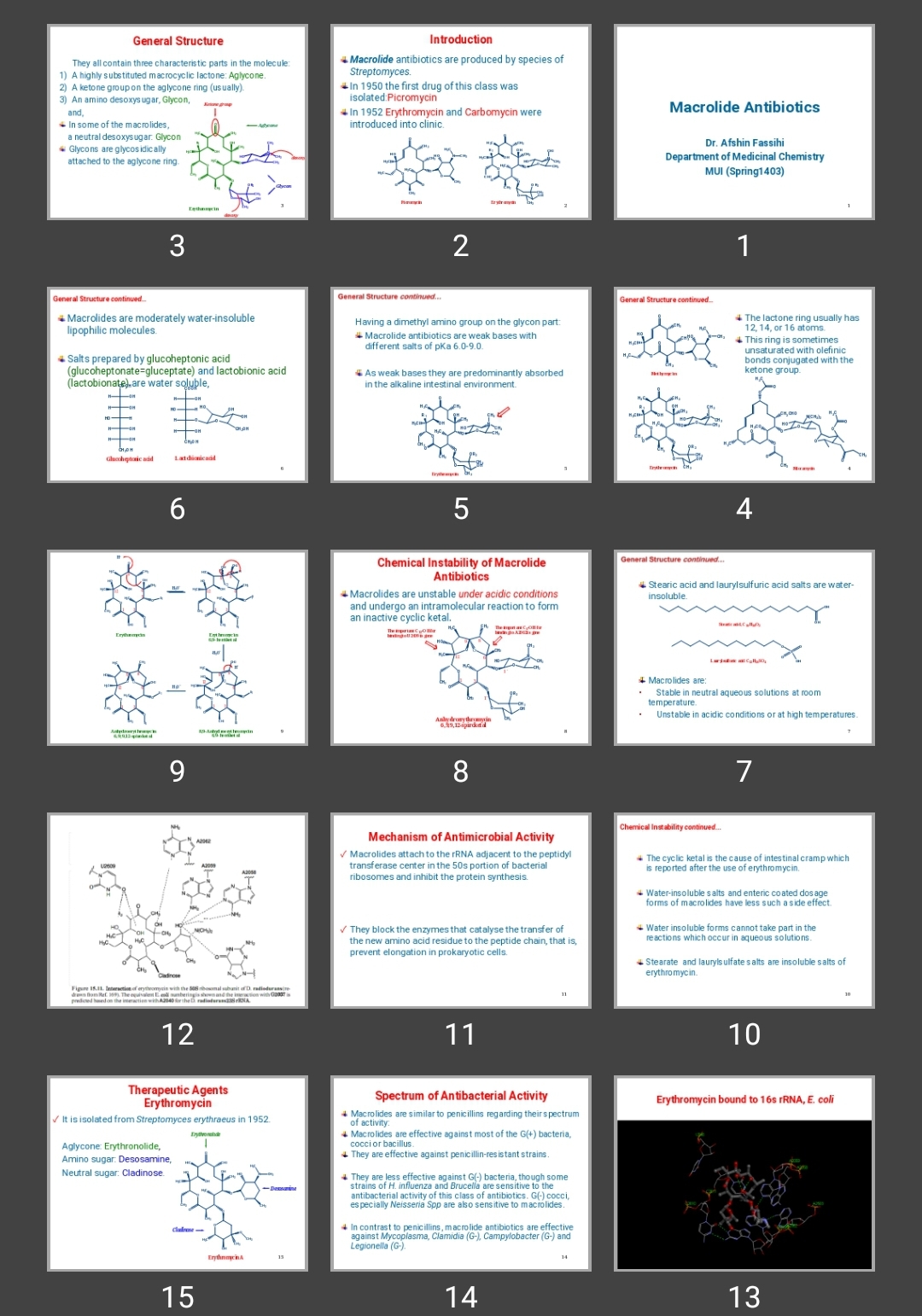 پاورپوینت Macrolide Antibiotics