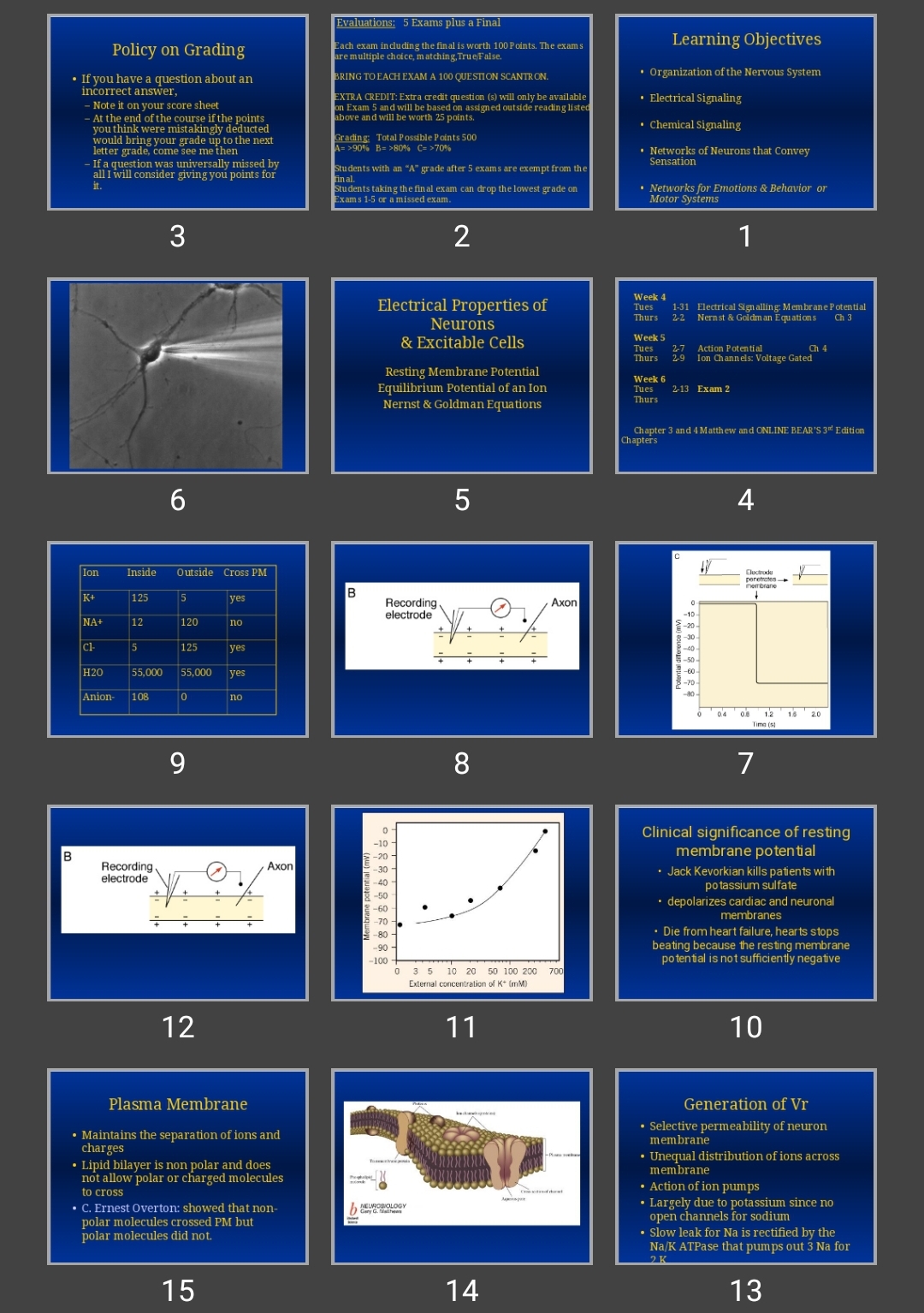 پاورپوینت membrane potential