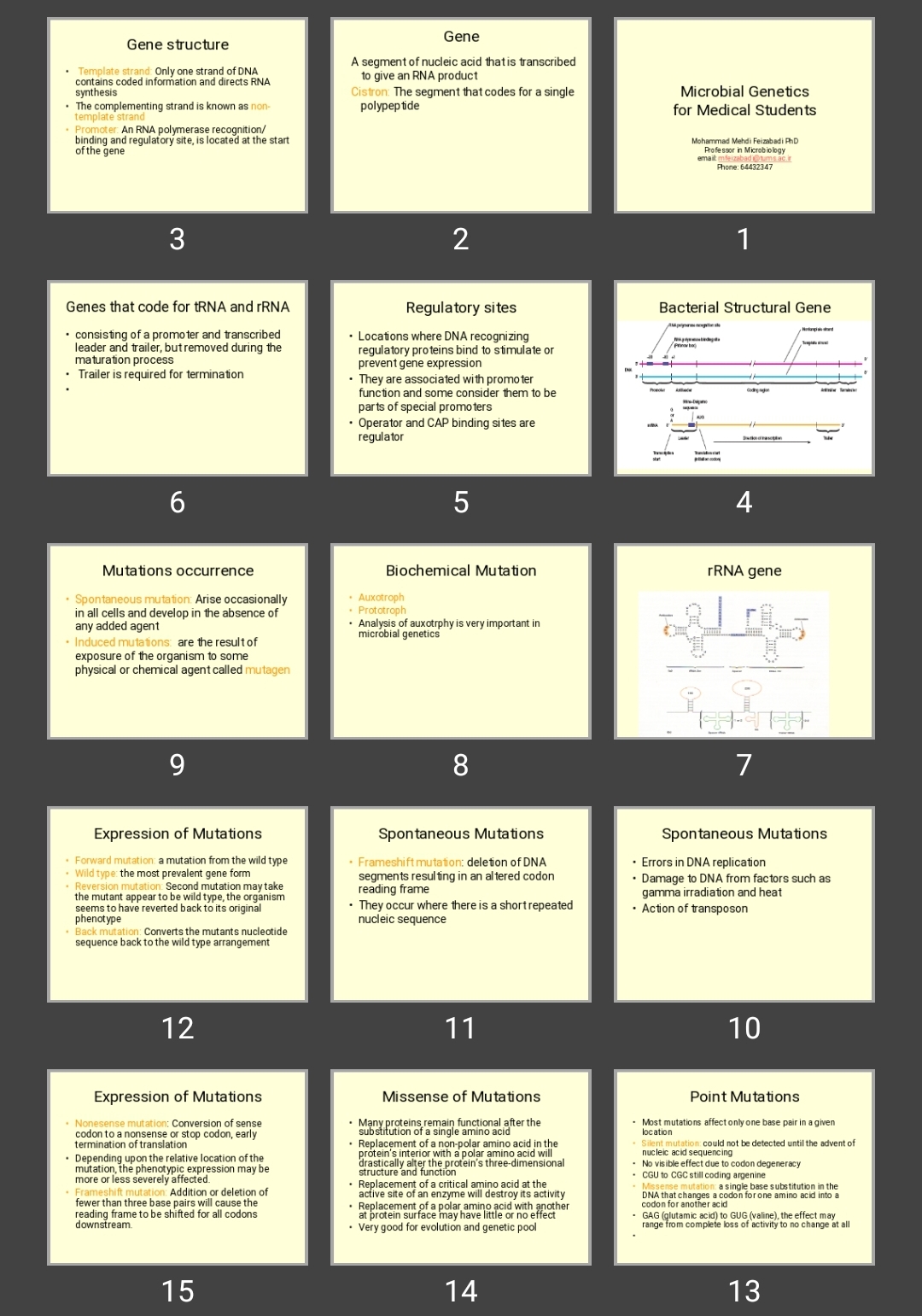 پاورپوینت Microbial Genetics for Medical Students