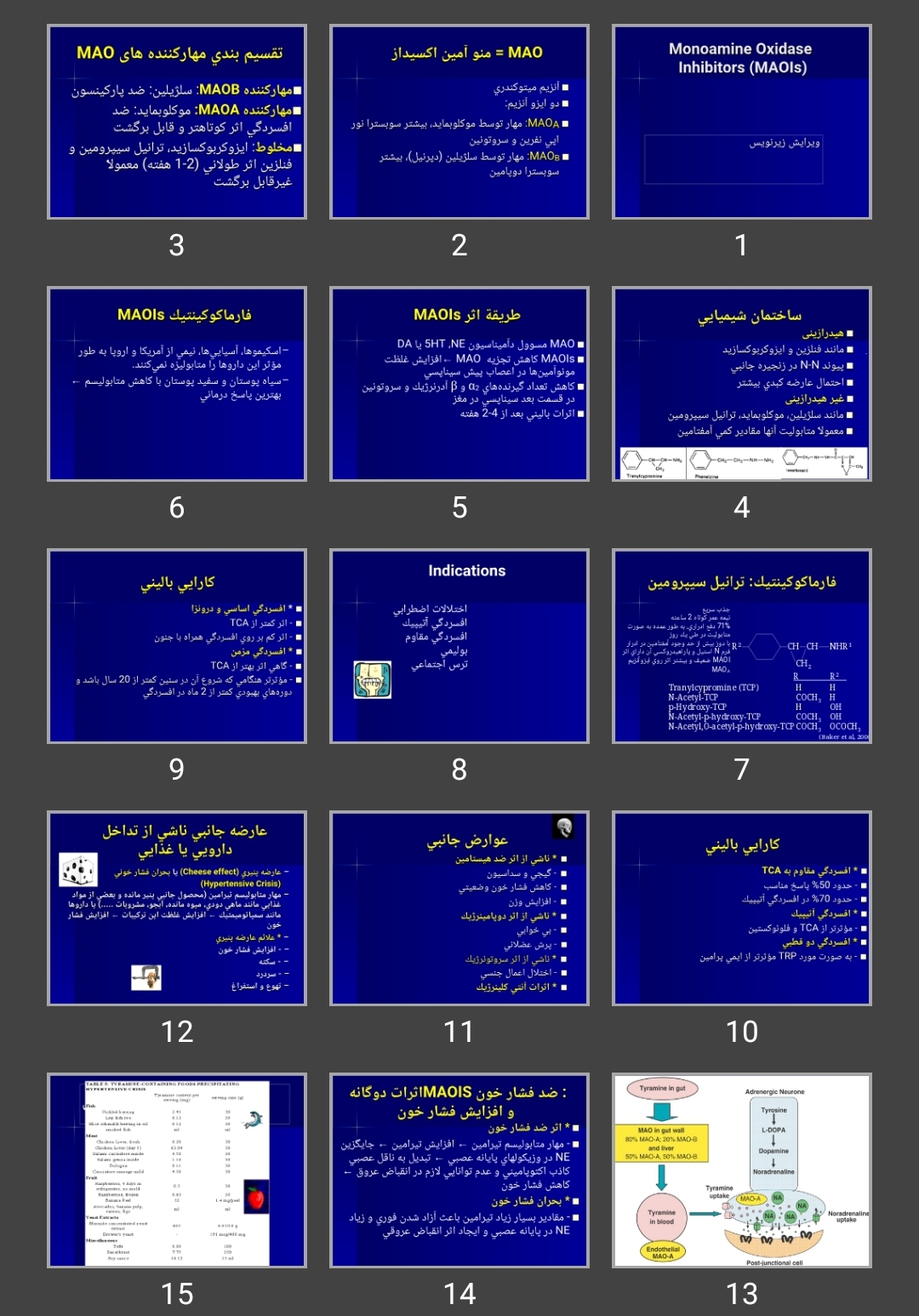 پاورپوینت Monoamine Oxidase Inhibitors (MAOIs)