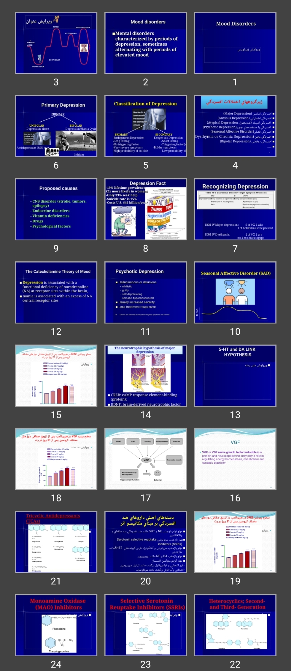 پاورپوینت Mood Disorders