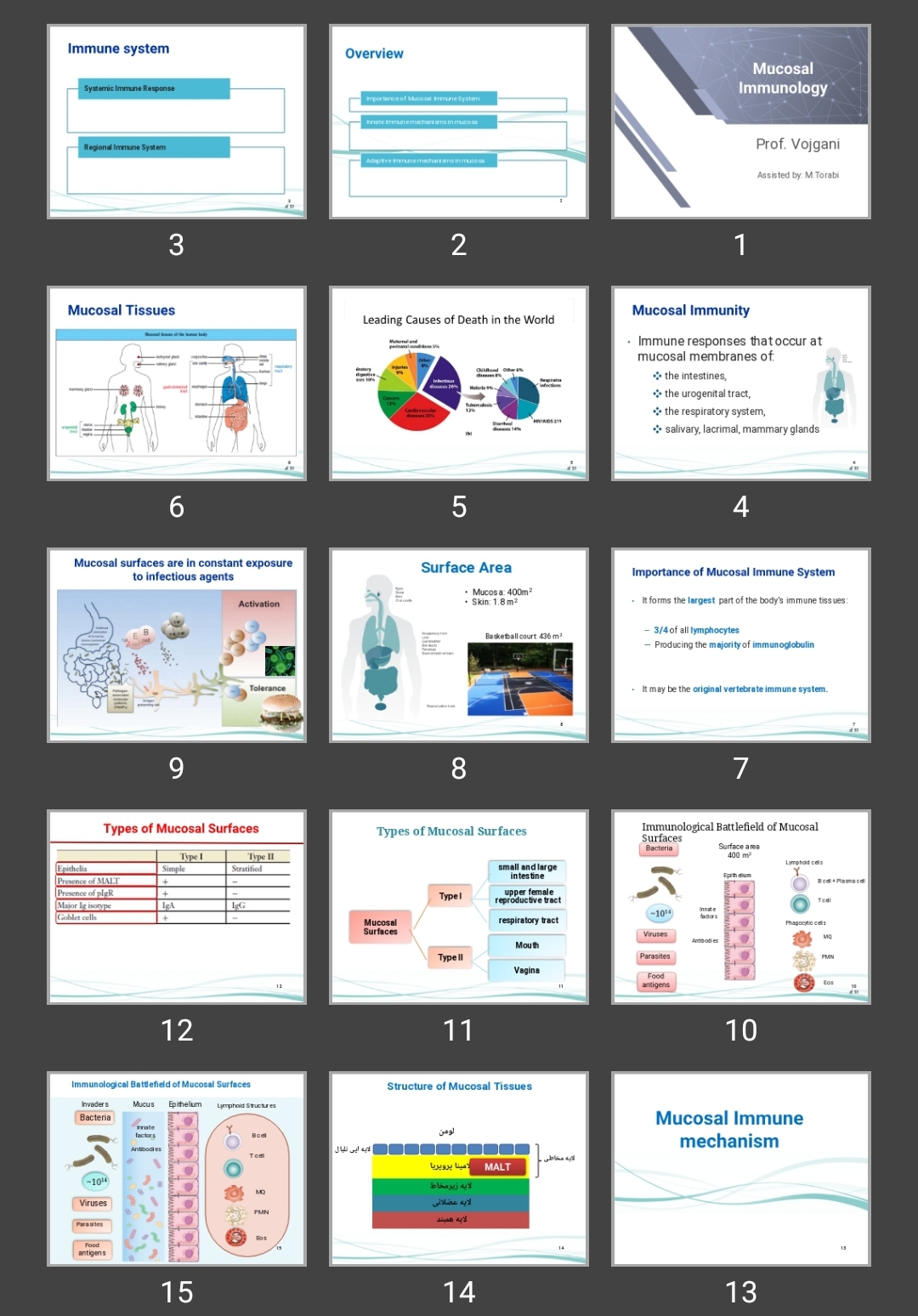 پاورپوینت Mucosal Immunology