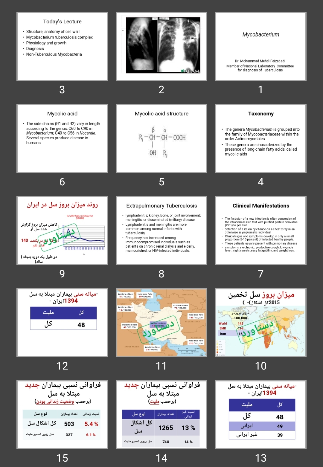 پاورپوینت Mycobacterium