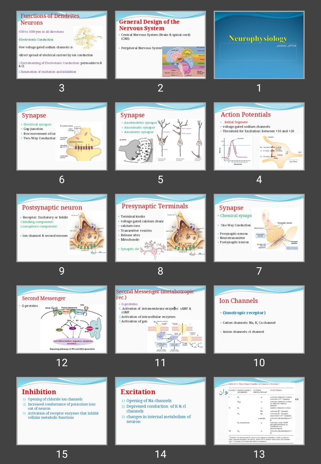 پاورپوینت Neurophysiology