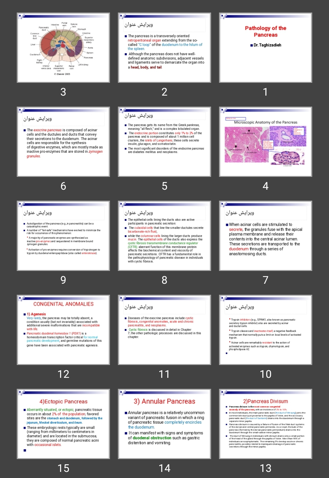 پاورپوینت Pathology of the Pancreas