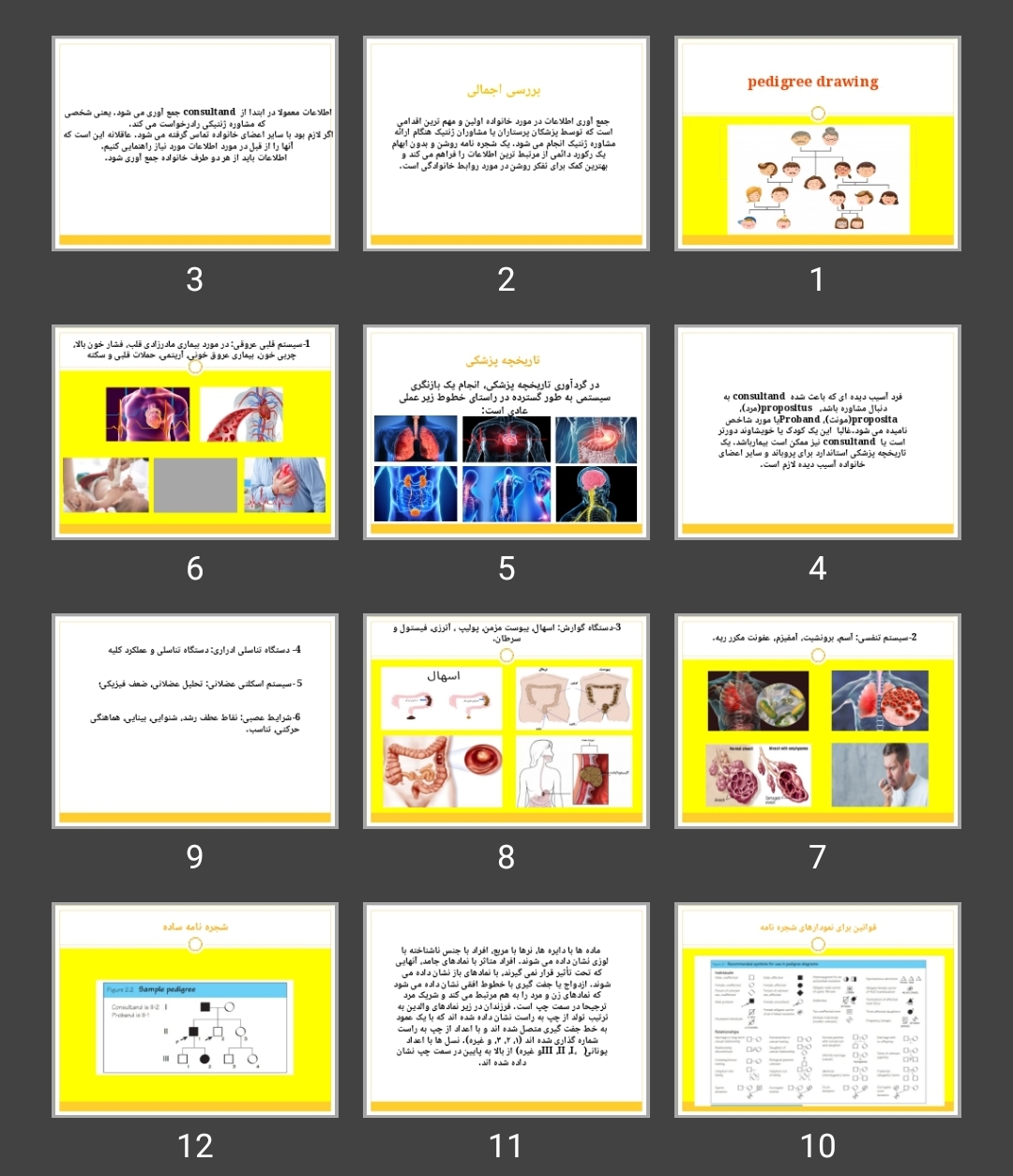 پاورپوینت pedigree drawing