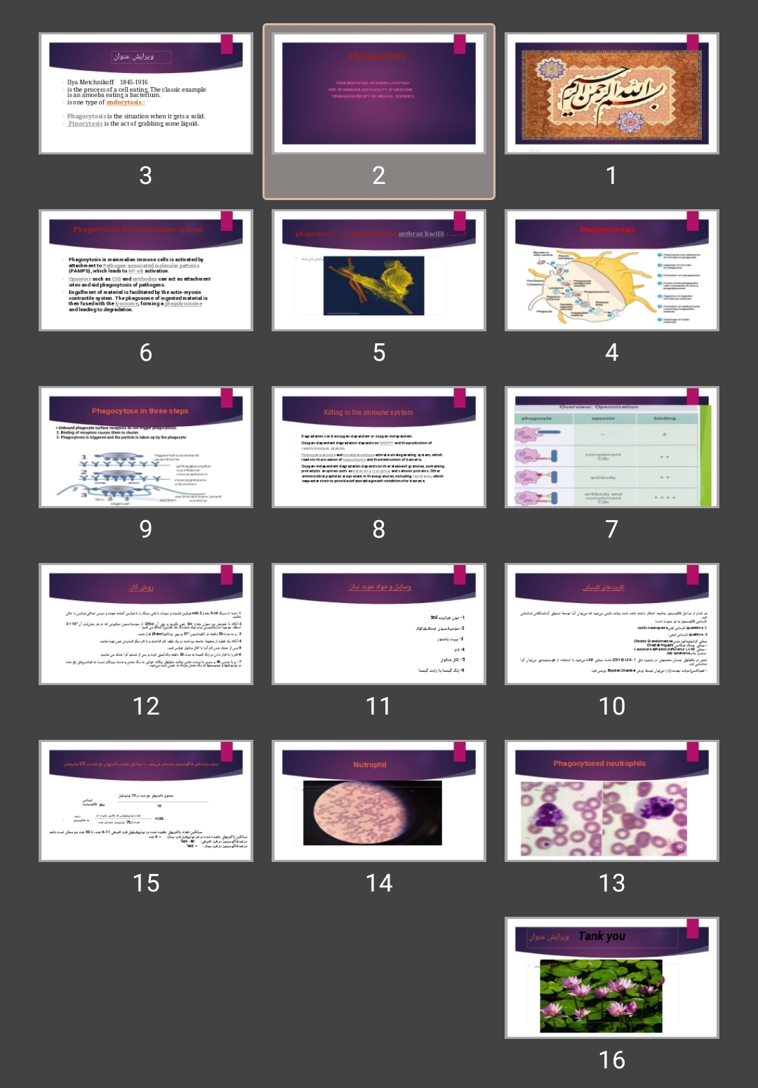 پاورپوینت Phagocytosis