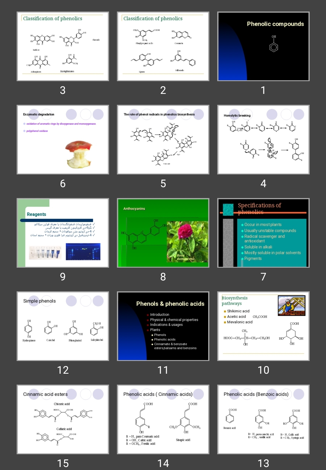 پاورپوینت Phenolic compounds