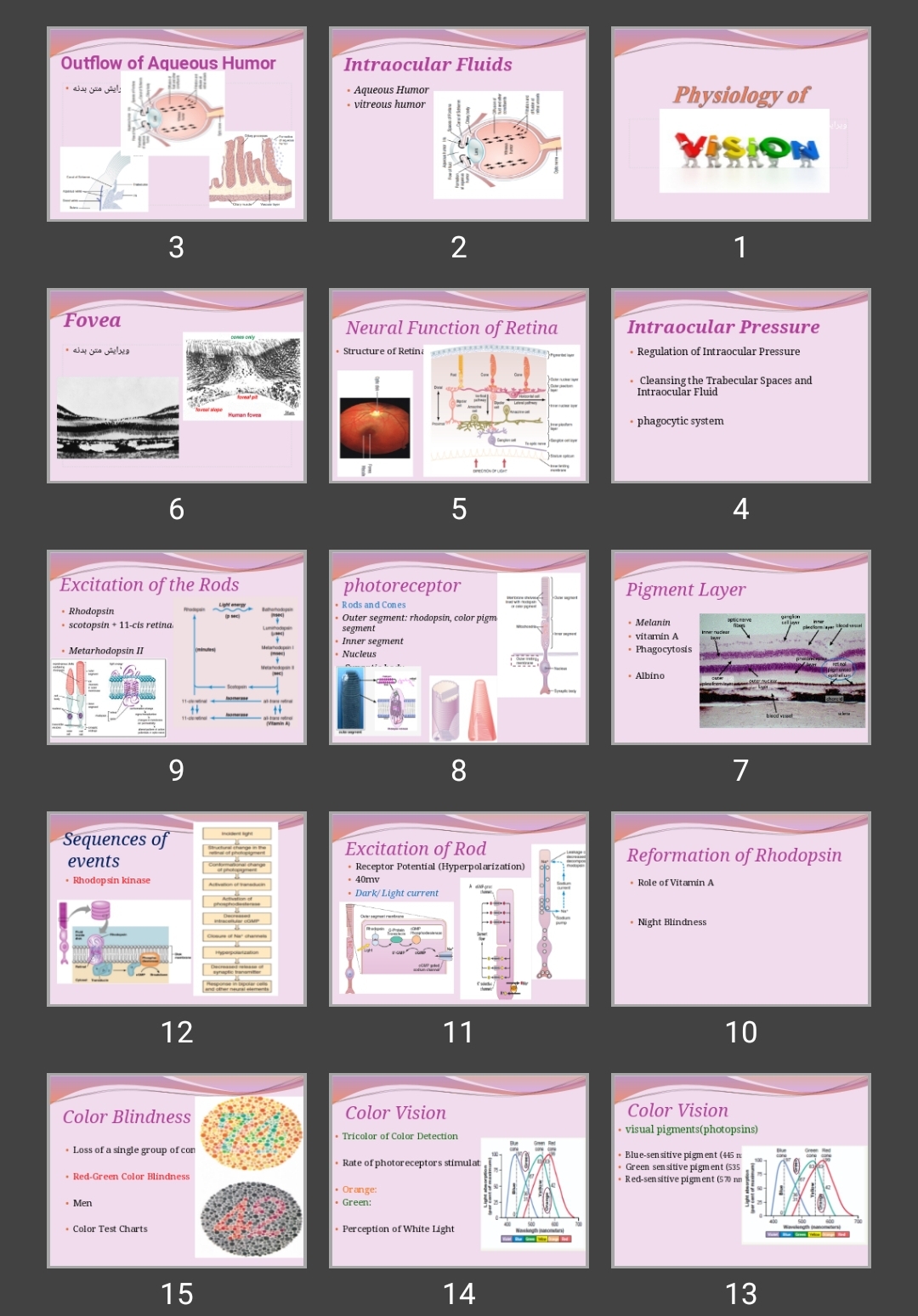 پاورپوینت PHYSIOLOGY OF Vision