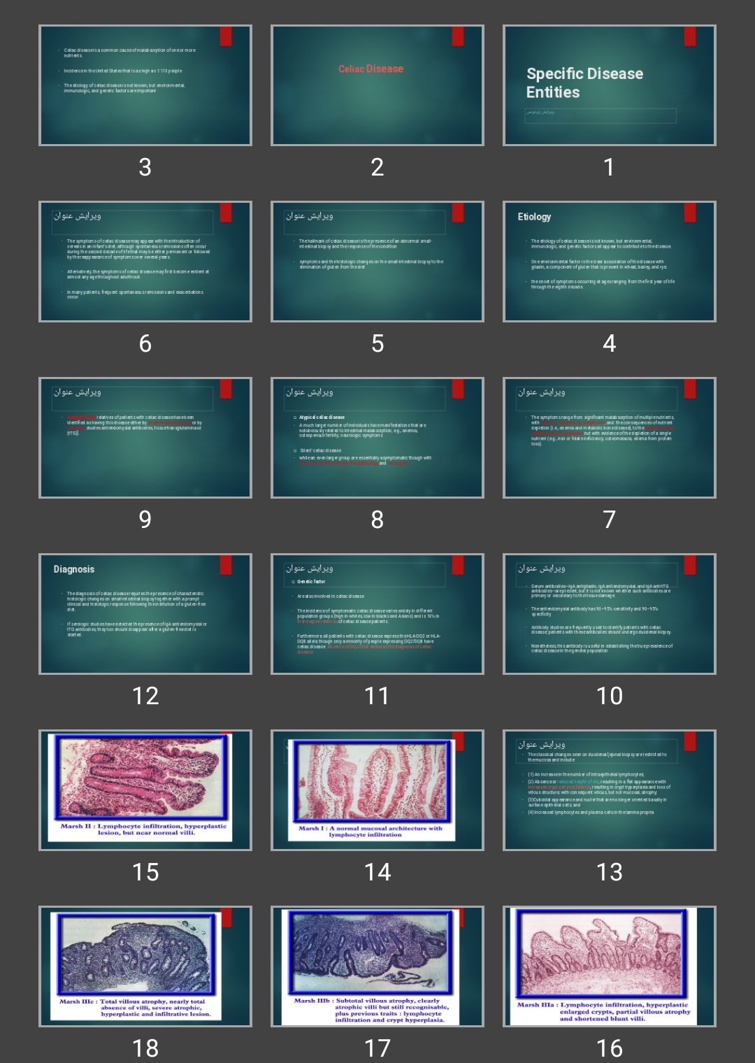 پاورپوینت Specific Disease Entities