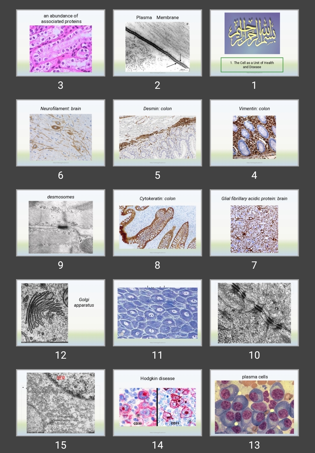 پاورپوینت The Cell as a Unit of Health and Disease