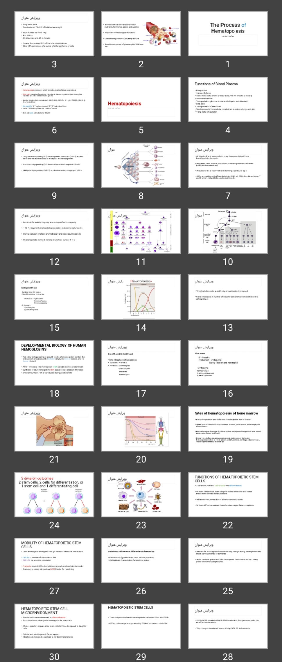 پاورپوینت The Process of Hematopoiesis