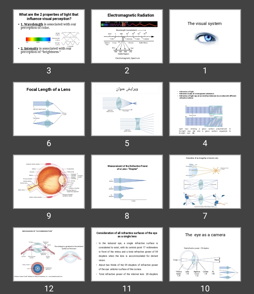 پاورپوینت The visual system